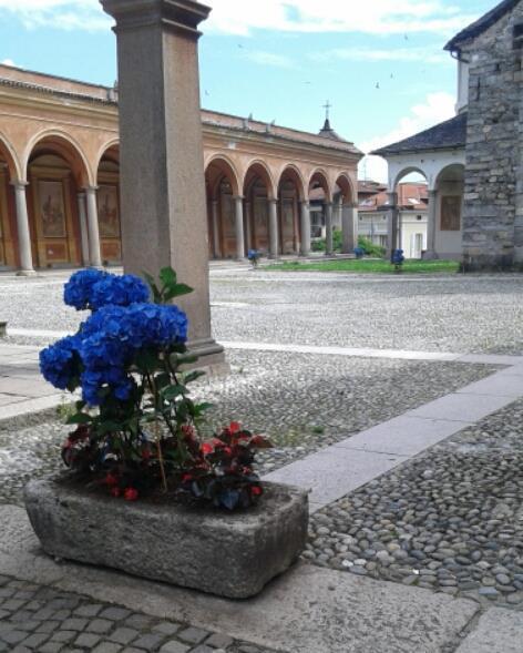 Lake Maggiore Hotel Elvezia מראה חיצוני תמונה